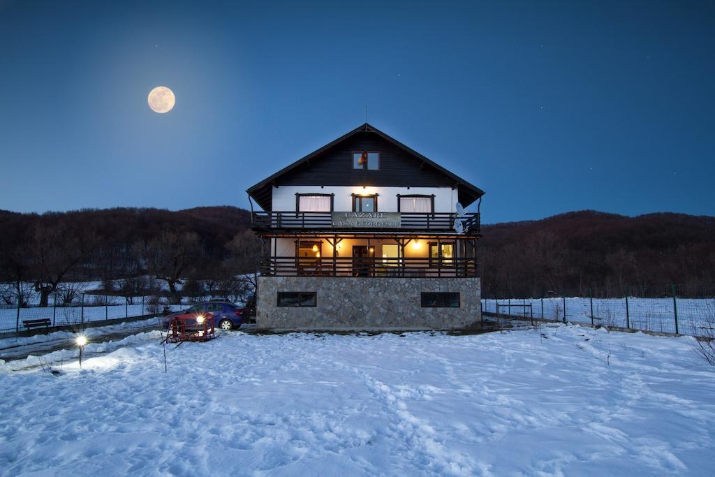 Casa Georgescu Hotel Risnov Bagian luar foto